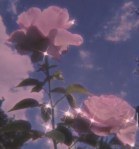 Meet your Posher, Wintana